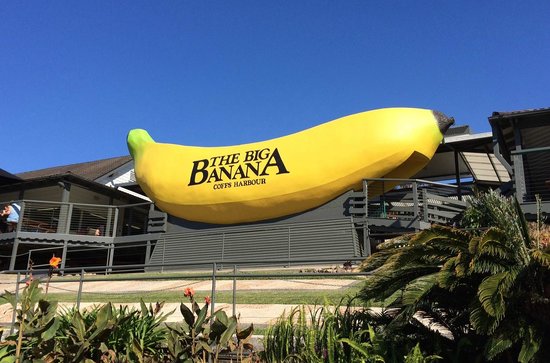 big-banana